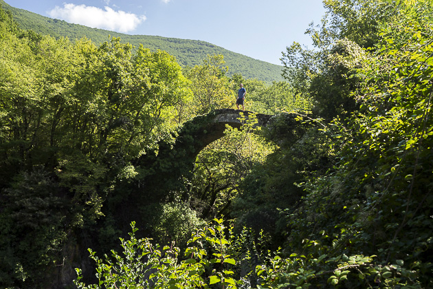 Read more about the article Gari and the Deer Leap Bridge
